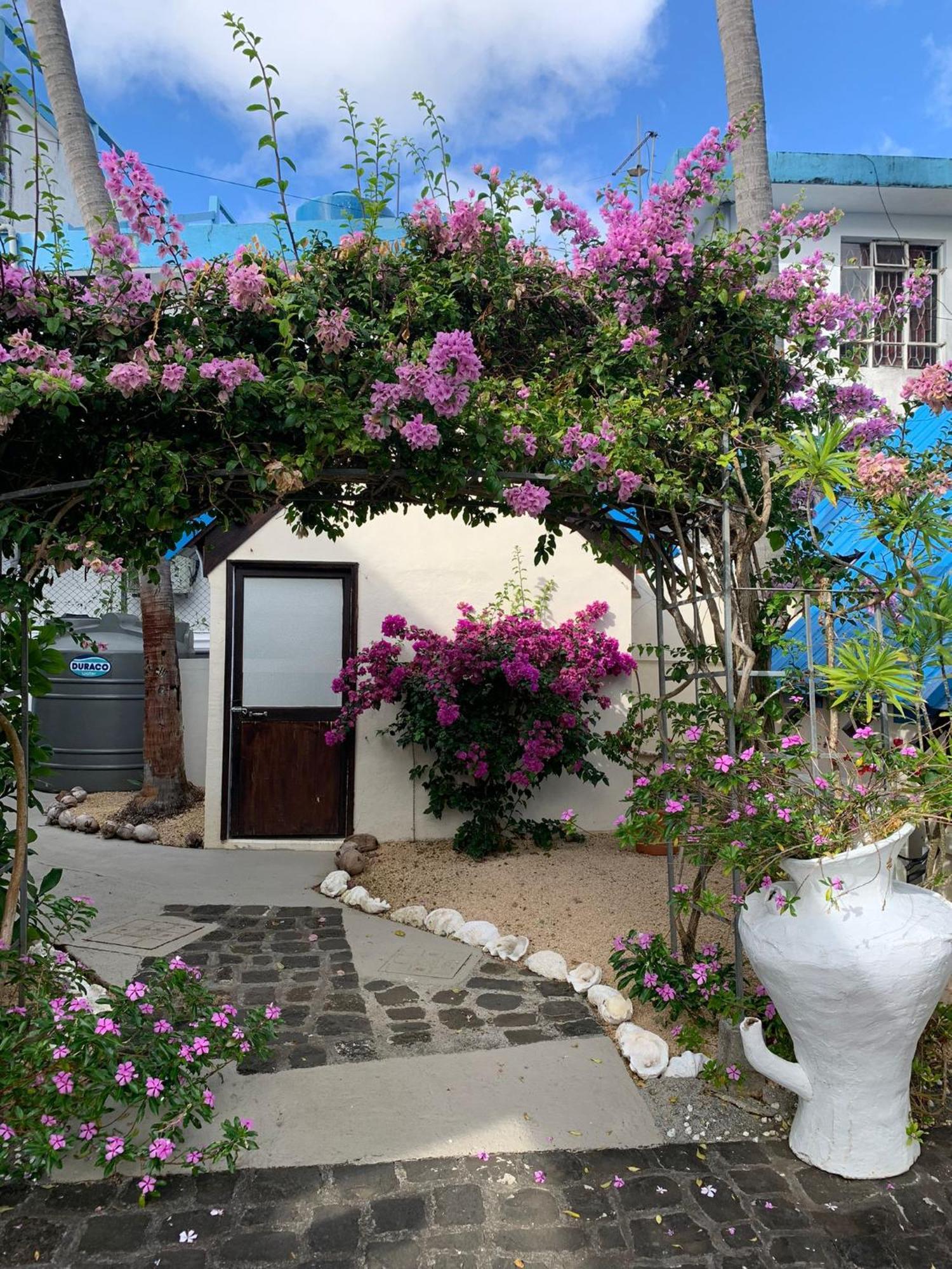 Chillpill Guest House Mahebourg Luaran gambar